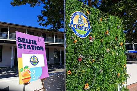 greenery backdrop for photos