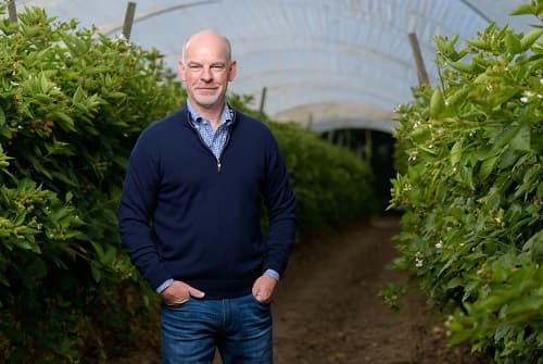 Soren Bjorn, president of Driscoll’s of the Americas