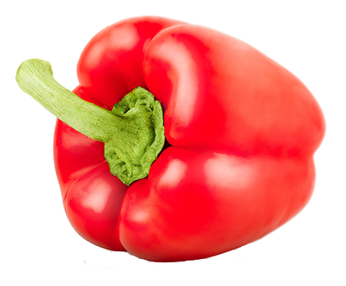 Isolated image of a red bell pepper